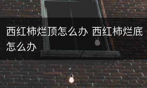 西红柿烂顶怎么办 西红柿烂底怎么办