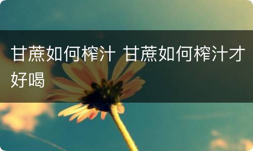甘蔗如何榨汁 甘蔗如何榨汁才好喝