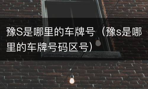 豫S是哪里的车牌号（豫s是哪里的车牌号码区号）
