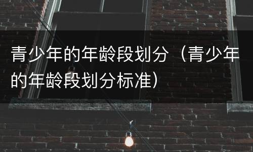 青少年的年龄段划分（青少年的年龄段划分标准）