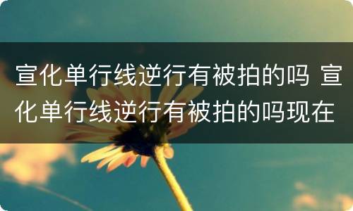 宣化单行线逆行有被拍的吗 宣化单行线逆行有被拍的吗现在