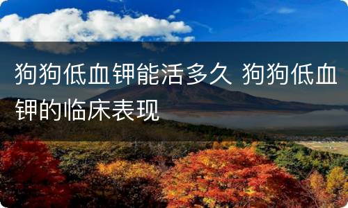 狗狗低血钾能活多久 狗狗低血钾的临床表现