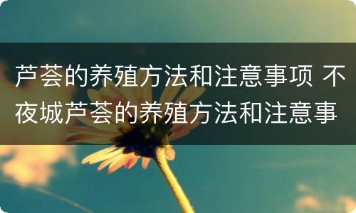 芦荟的养殖方法和注意事项 不夜城芦荟的养殖方法和注意事项