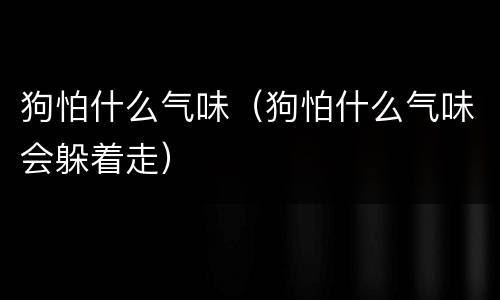 狗怕什么气味（狗怕什么气味会躲着走）