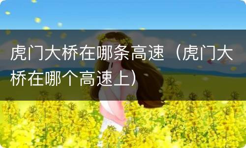 虎门大桥在哪条高速（虎门大桥在哪个高速上）