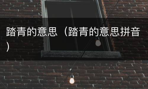 踏青的意思（踏青的意思拼音）