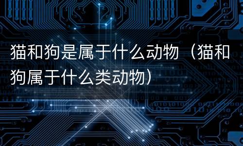 猫和狗是属于什么动物（猫和狗属于什么类动物）