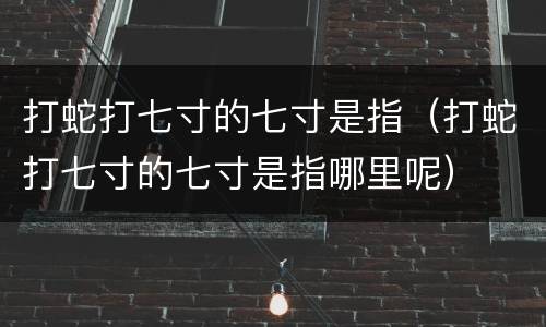 打蛇打七寸的七寸是指（打蛇打七寸的七寸是指哪里呢）