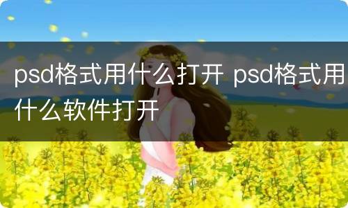 psd格式用什么打开 psd格式用什么软件打开