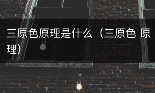 三原色原理是什么（三原色 原理）
