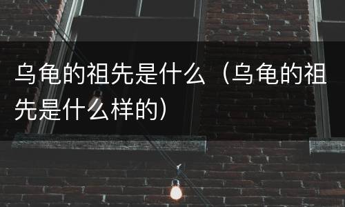 乌龟的祖先是什么（乌龟的祖先是什么样的）