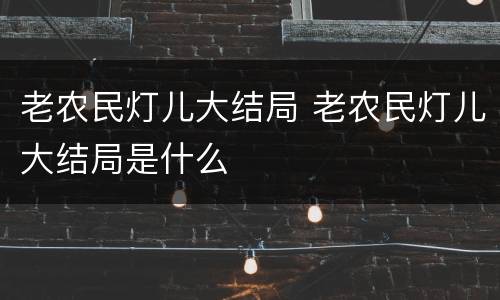老农民灯儿大结局 老农民灯儿大结局是什么