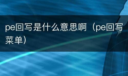 pe回写是什么意思啊（pe回写菜单）