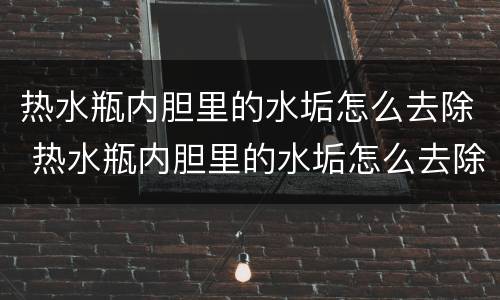 热水瓶内胆里的水垢怎么去除 热水瓶内胆里的水垢怎么去除视频