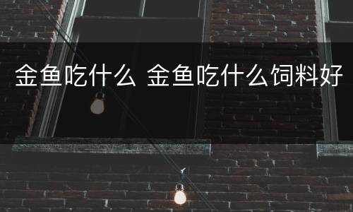 金鱼吃什么 金鱼吃什么饲料好