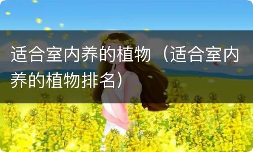 适合室内养的植物（适合室内养的植物排名）