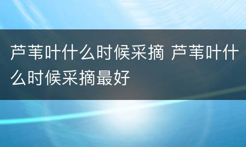 芦苇叶什么时候采摘 芦苇叶什么时候采摘最好