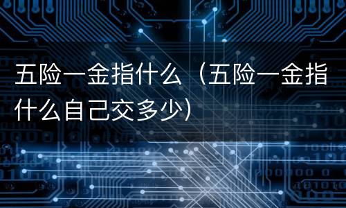 五险一金指什么（五险一金指什么自己交多少）