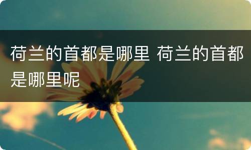 荷兰的首都是哪里 荷兰的首都是哪里呢