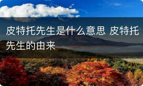 皮特托先生是什么意思 皮特托先生的由来