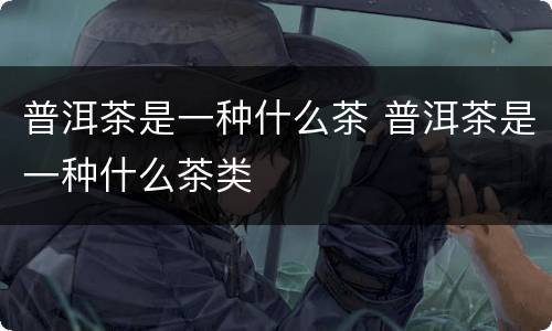 普洱茶是一种什么茶 普洱茶是一种什么茶类