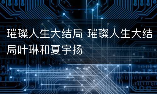 璀璨人生大结局 璀璨人生大结局叶琳和夏宇扬