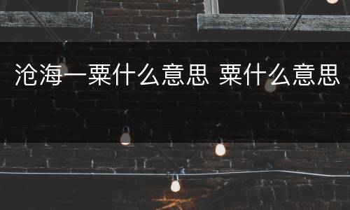 沧海一粟什么意思 粟什么意思