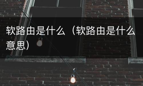 软路由是什么（软路由是什么意思）