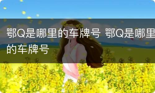 鄂Q是哪里的车牌号 鄂Q是哪里的车牌号