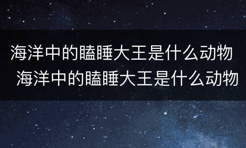 海洋中的瞌睡大王是什么动物 海洋中的瞌睡大王是什么动物? 新闻