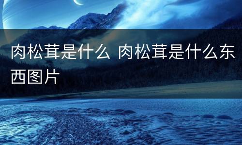 肉松茸是什么 肉松茸是什么东西图片