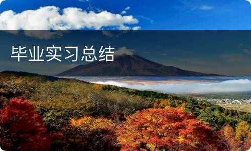 毕业实习总结