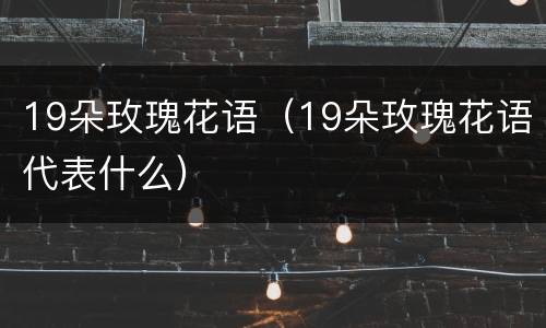 19朵玫瑰花语（19朵玫瑰花语代表什么）