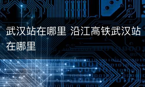 武汉站在哪里 沿江高铁武汉站在哪里
