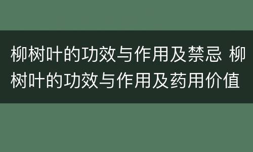 柳树叶的功效与作用及禁忌 柳树叶的功效与作用及药用价值