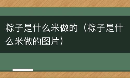 粽子是什么米做的（粽子是什么米做的图片）