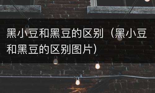 黑小豆和黑豆的区别（黑小豆和黑豆的区别图片）