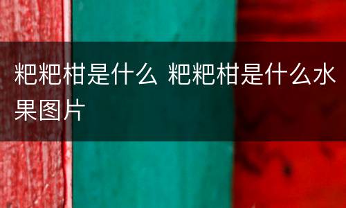 粑粑柑是什么 粑粑柑是什么水果图片