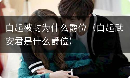 白起被封为什么爵位（白起武安君是什么爵位）