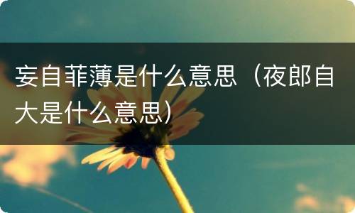 妄自菲薄是什么意思（夜郎自大是什么意思）