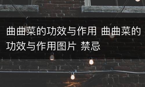 曲曲菜的功效与作用 曲曲菜的功效与作用图片 禁忌