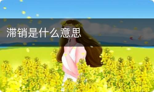 滞销是什么意思