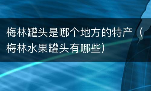 梅林罐头是哪个地方的特产（梅林水果罐头有哪些）
