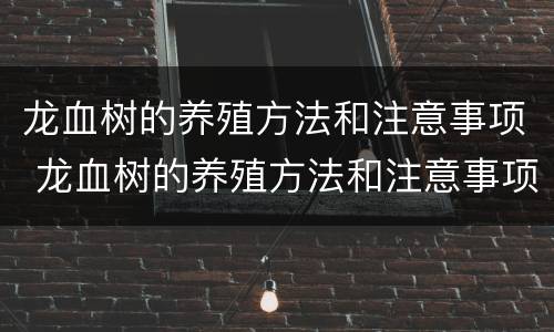 龙血树的养殖方法和注意事项 龙血树的养殖方法和注意事项有哪些