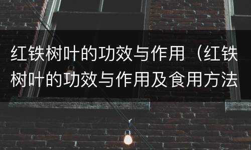 红铁树叶的功效与作用（红铁树叶的功效与作用及食用方法）