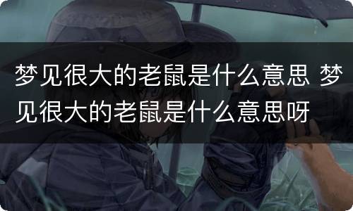 梦见很大的老鼠是什么意思 梦见很大的老鼠是什么意思呀