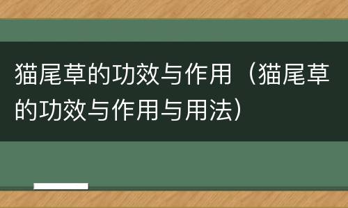猫尾草的功效与作用（猫尾草的功效与作用与用法）