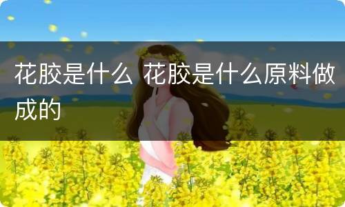 花胶是什么 花胶是什么原料做成的