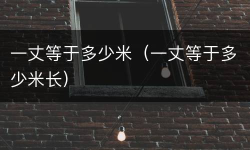 一丈等于多少米（一丈等于多少米长）