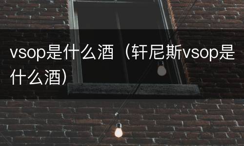 vsop是什么酒（轩尼斯vsop是什么酒）